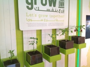 IMG_0153